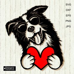 Border Collie With Valentine Heart And Sunglasses Svg For Cricut, Love dogs Shirt Design Decal Cut file Cricut /107