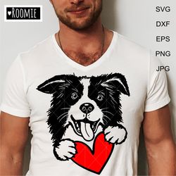 Border Collie With Valentine Heart Svg For Cricut, Love dogs Shirt Design Decal Cut file Cricut /108