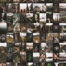 100 PCS Nature Wall Collage Kit DIGITAL DOWNLOAD | Green Aesthetic Photo Collage Kit | Photo Wall Collage Set 4x6 Size
