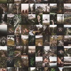 100 pcs nature wall collage kit digital download | green aesthetic photo collage kit | photo wall collage set 4x6 size