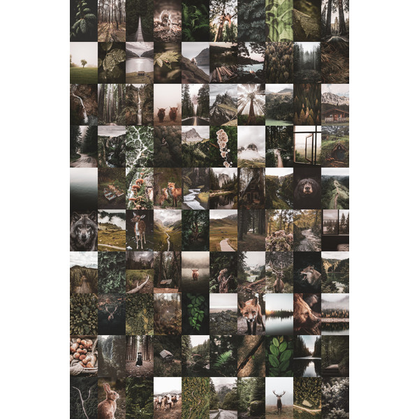 Set-Forest-100-01.jpg