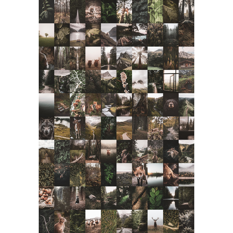 Set-Forest-100-01.jpg