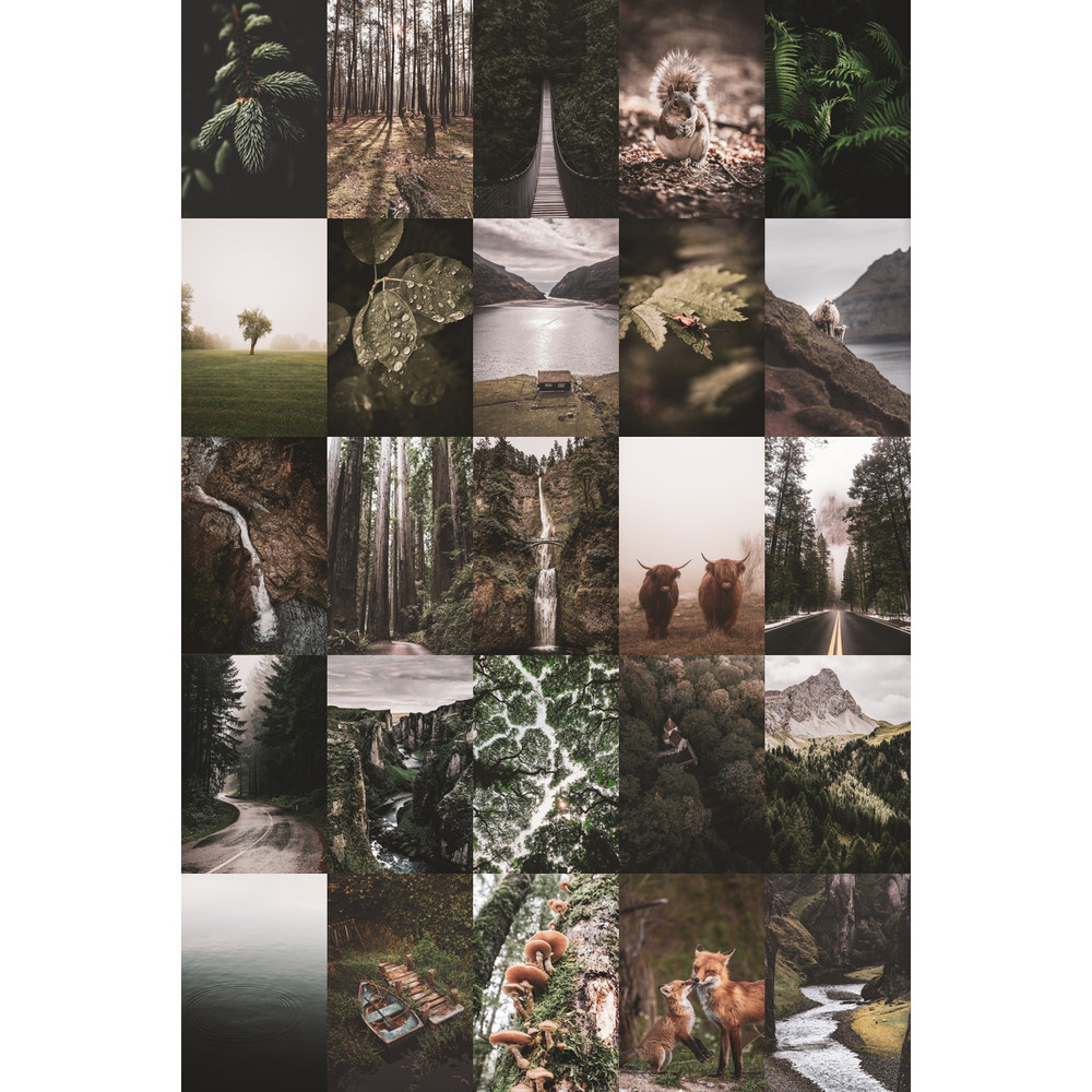 Set-Forest-100-02.jpg