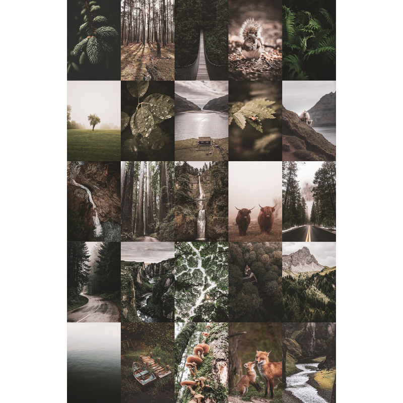Set-Forest-100-02.jpg
