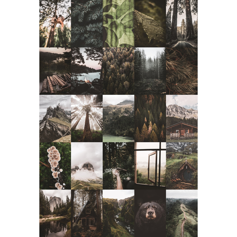 Set-Forest-100-03.jpg