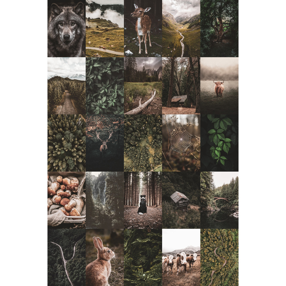 Set-Forest-100-04.jpg