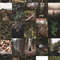 Set-Forest-100-04.jpg