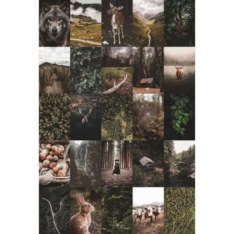 Set-Forest-100-04.jpg