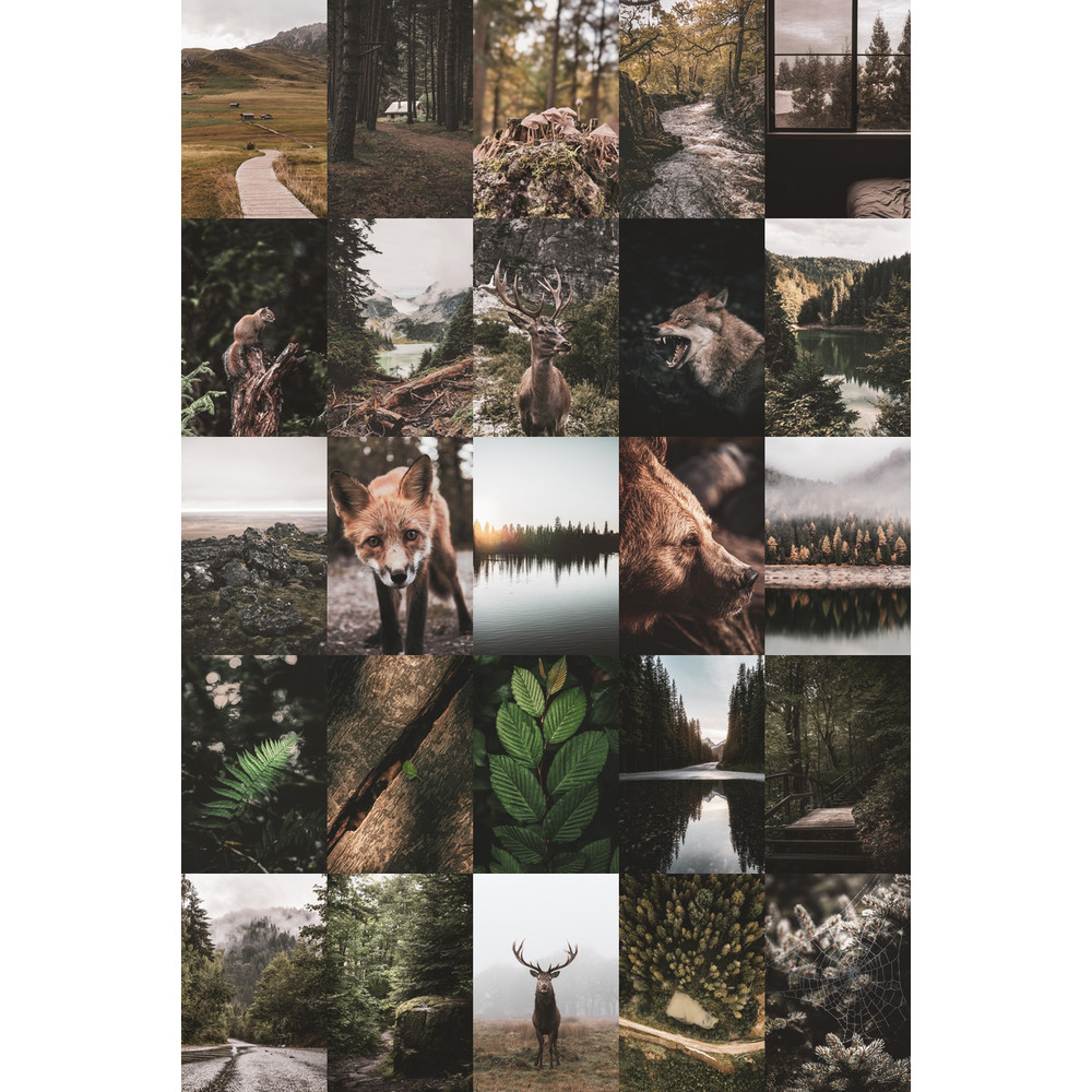 Set-Forest-100-05.jpg