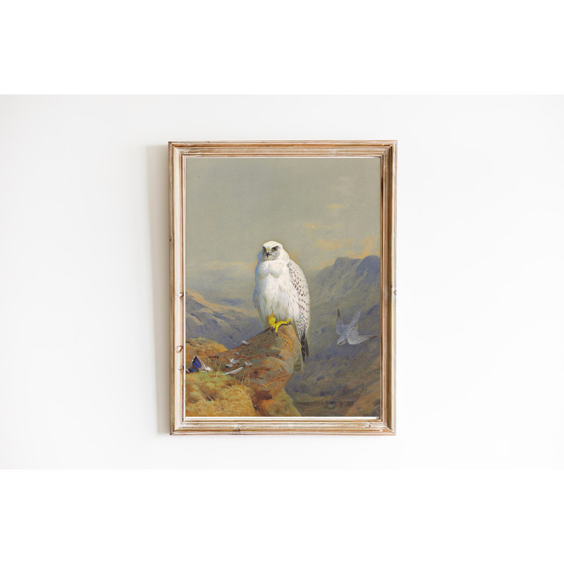 vintage falcon wall art.jpg