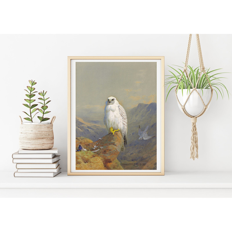 vintage falcon home decor.jpg