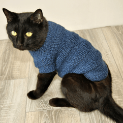 Cat Sweater CATerpillar, Hand Knitted Handmade Dark Blue Jumper for Small Dog or Sphynx cat, Warm Striped Pet Clothes