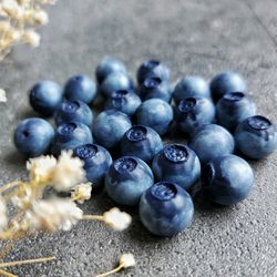 Blueberry Beads. Polymer Clay Beads. Jewelry Beading. Berry Charms.