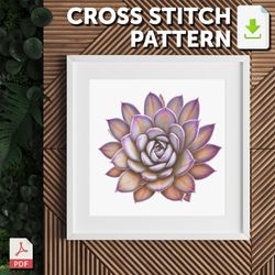 cross stitch pattern - succulents - echeveria purple pearl