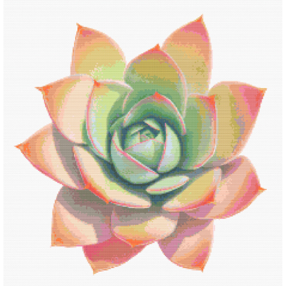 02_succulent_cross_stitch_pattern_full.jpg