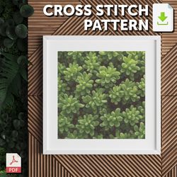 cross stitch pattern - succulents - sedum stonecrop