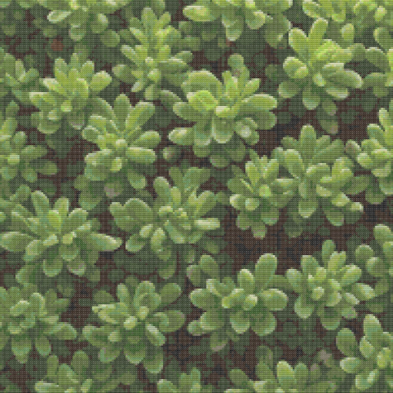 02_succulent_cross_stitch_pattern_full.jpg