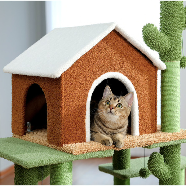 cat-in-the-cactus-cat-tree-house