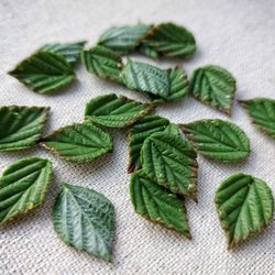 Raspberry leaves Beads Polymer clay. Green leaf beads. Handmade beads.