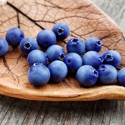 Blueberry Beads. Polymer Clay Beads. Jewelry Beading. Berry Charms.