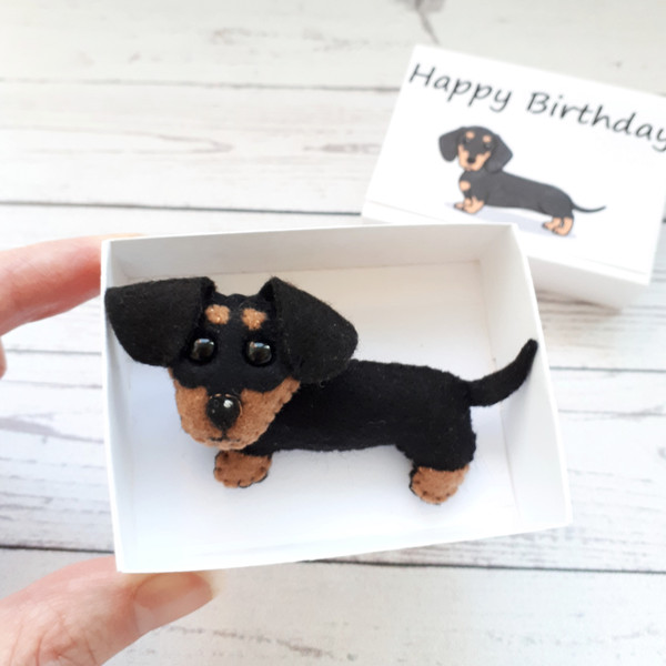 Dachshund-puppy-Birthday-gift