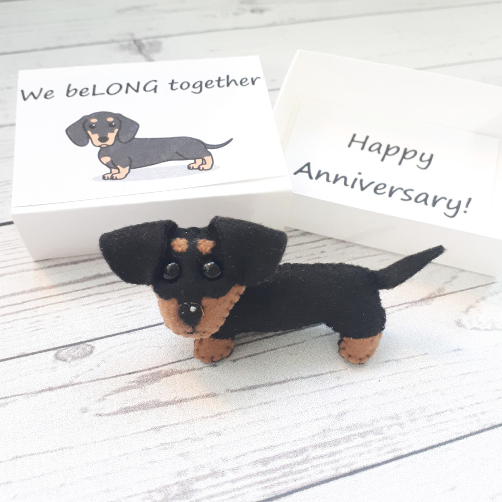 Dachshund-puppy-Anniversary-gifts-1