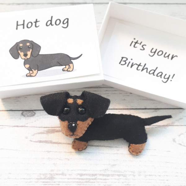 Dachshund-gift-funny-Birthday-cards-1