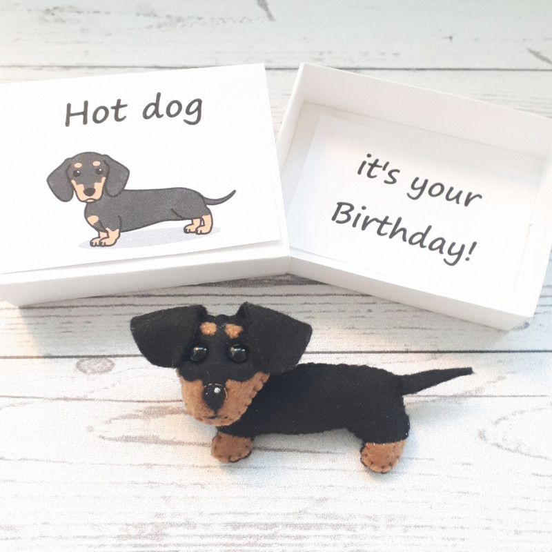 Dachshund-puppy-Boyfriend-birthday-gift-1