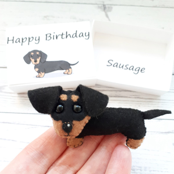 Dachshund-puppy-Boyfriend-Birthday-gift