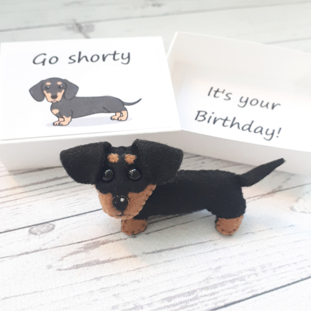 Dachshund-puppy-gift-pocket-hug