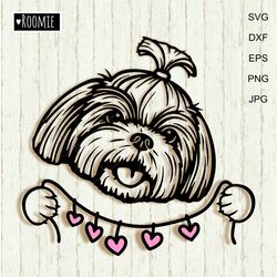 cute shih tzu with hearts shirt design svg for cricut, peeking dog, car decal clipart vector cut file vinyl /146