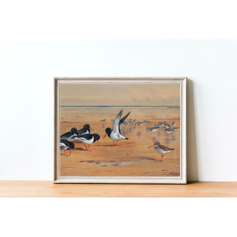 vintage birds home decor.jpg