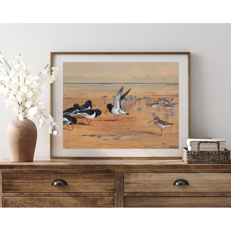 vintage birds wall art print.jpg