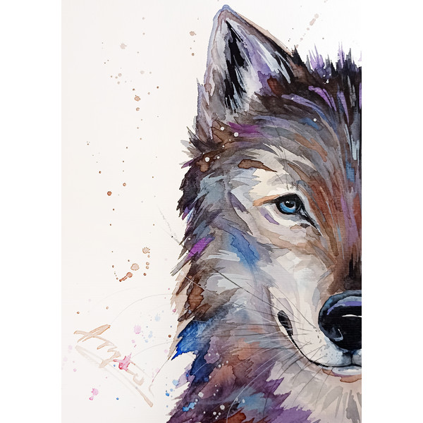 watercolor wolf painting by Anne Gorywine