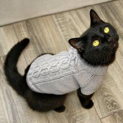 Cat Sweater "Celtic Cable", Hand Knitted Handmade Cotton Jumper for Small Dog, Sphynx Clothes, Saxon Braid Pet Sweater
