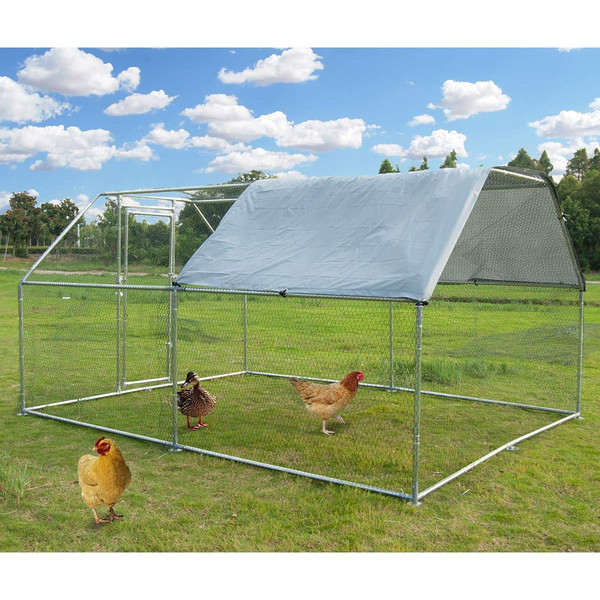 12.5m medium metal chicken coop (4).jpg