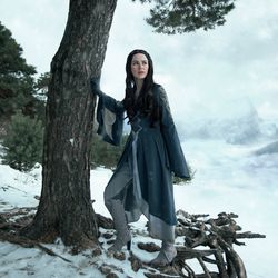 Arwen Chase cosplay Costume - Riding dress - Made to order