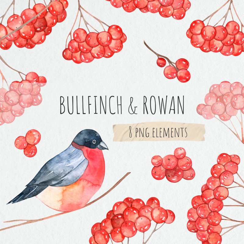 Bullfinch and Rowan 1.jpg