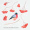 Bullfinch and Rowan 4.jpg