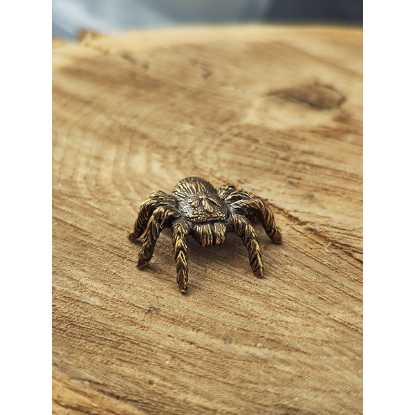 Figurine Spider tarantula