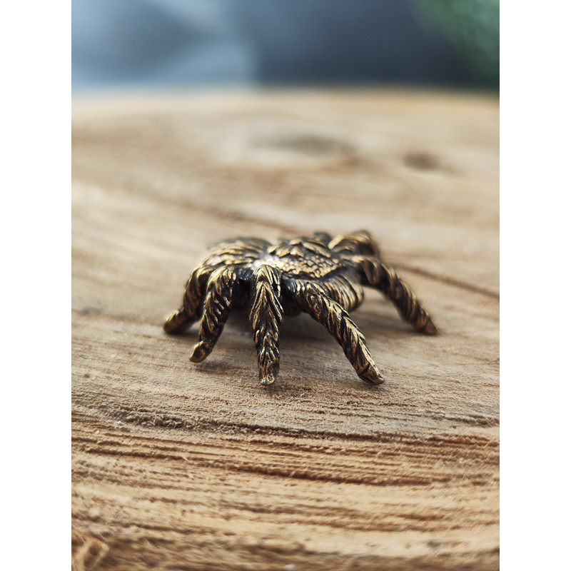 Figurine Spider tarantula