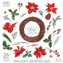 Merry Christmas Red Poinsettia Digital Clip Art, Hand Drawn Graphics. OliArtStudioShop