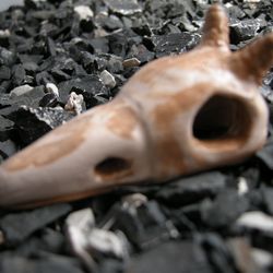Ceramic shrimp house. Raven Crow Skull with horns.
