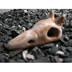 Ceramic shrimp house. Raven Crow Skull with horns.