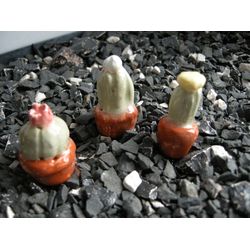 Set of 3 Ceramic Miniature Cactus. Dolls house plants