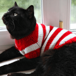 Hand Knitted Cat Sweater Where is Kitty, Handmade Striped Wool Jumper for Small Dog, Where is Waldo Inspired Pet Cloth