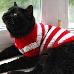 Hand Knitted Cat Sweater "Where is Kitty", Handmade Striped Wool Jumper for Small Dog, Where is Waldo Inspired Pet Cloth
