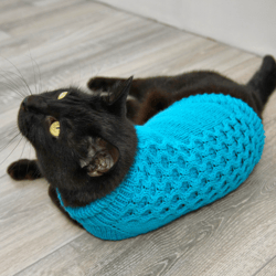 Cat Sweater Dragon Scales, Hand Knitted Handmade Turquoise Jumper for Small Dog, Sphynx Clothes, Warm Pet Sweater