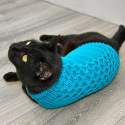 Cat Sweater "Dragon Scales", Hand Knitted Handmade Turquoise Jumper for Small Dog, Sphynx Clothes, Warm Pet Sweater