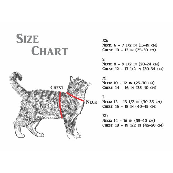 size chart.jpg